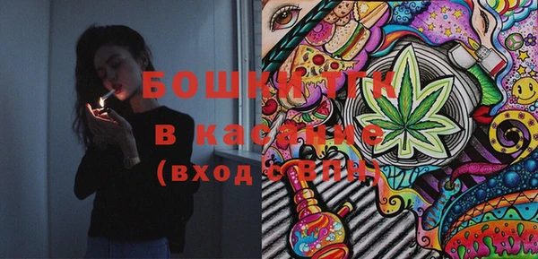шишки Абинск