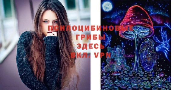 шишки Абинск