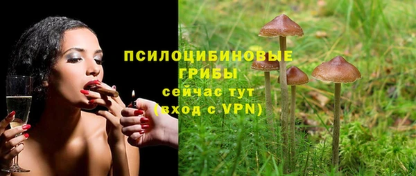 СК Абаза